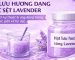 Hạt lưu hương dạng nước sệt Lavender – Giải pháp giữ mùi bền cho hệ đục trong nước giặt xả