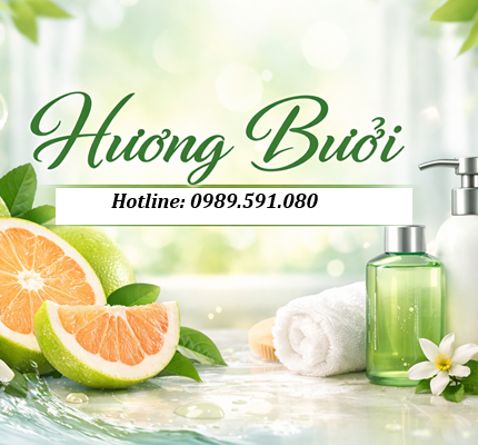 Hương bưởi tạo mùi thơm cho dầu gội, sữa tắm