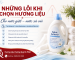 Những lỗi thường gặp khi chọn hương liệu cho nước giặt – nước xả